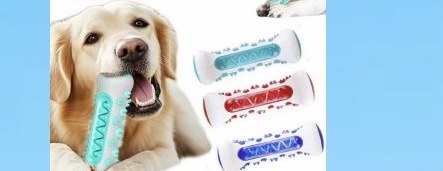 Brinquedo Mordedor Para Cachorro Saude Dental