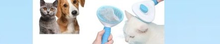 Escova Para Gatos Removedor De Pelos Para Caes